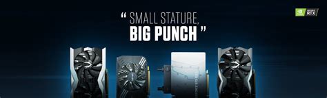 MINI Graphics Card - SMALL STATURE, BIG PUNCH | ZOTAC