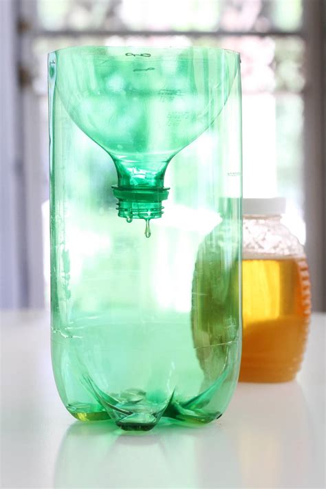 How To Make a Wasp Trap from a Soda Bottle | Apartment Therapy