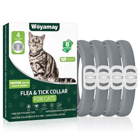 Top 10 Best Flea Collars For Kittens To Buy Online - Glory Cycles