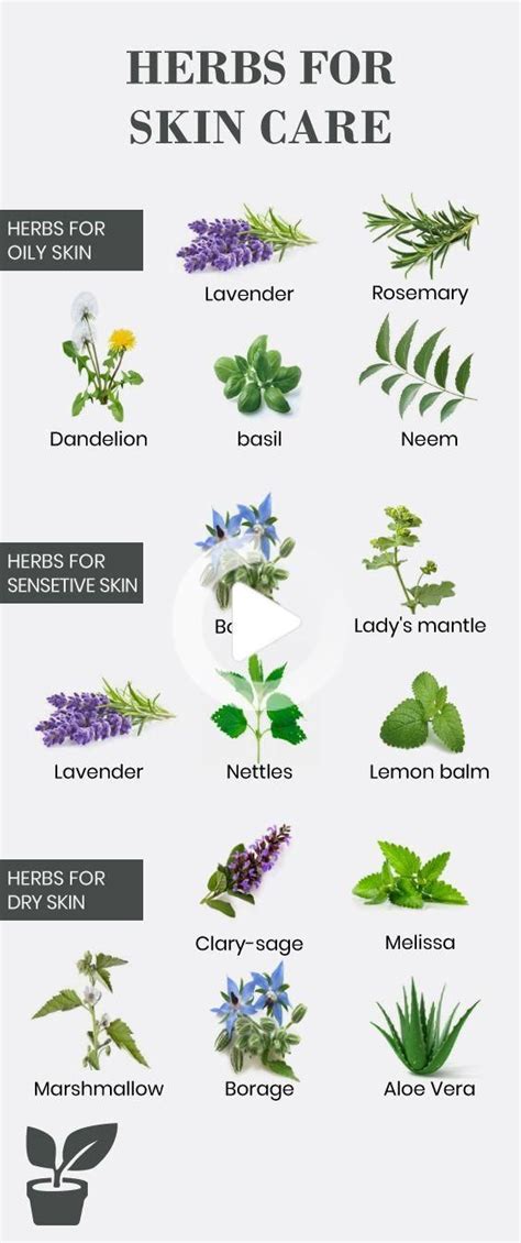 herbs good for skin - natural herbs skincare you should try | Skin care home remedies, Herbal ...