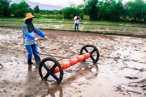 Rice Drum Seeder | Inca Philippines