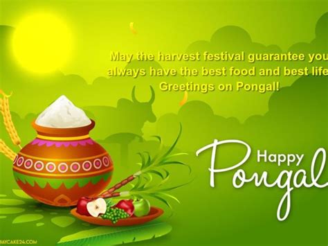 Pongal 2024 Wallpapers - Wallpaper Cave