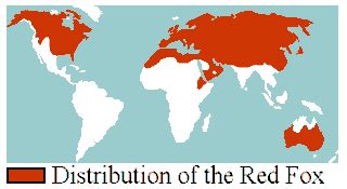 Liska's EncycVulpedia: Red Fox - Distribution & Habitat