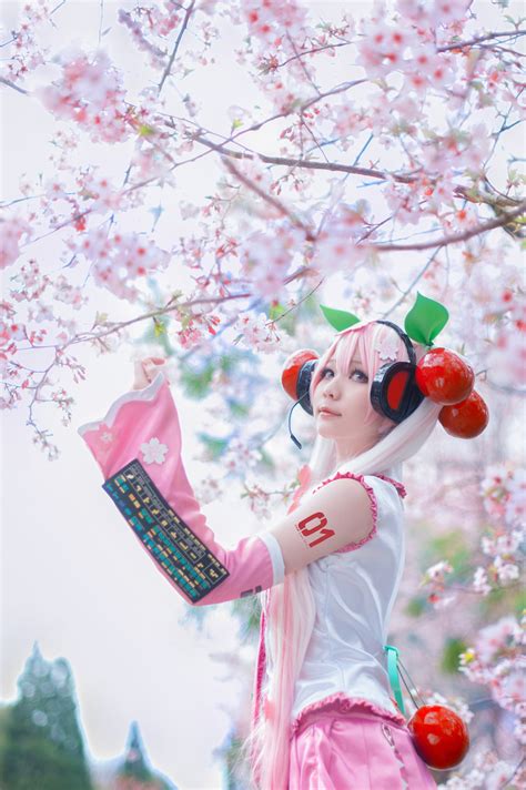 The Soulless — Sakura Miku cosplay, por shimo