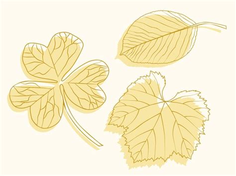 Premium Vector | Vector drawing gold leaves leaves in vector