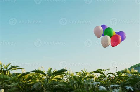 Colorful balloons on blue sky background 14198911 Stock Photo at Vecteezy