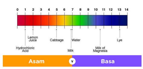 Indikator Asam Basa Pengertian Jenis Dan Contohnya Teks Co Id - Riset