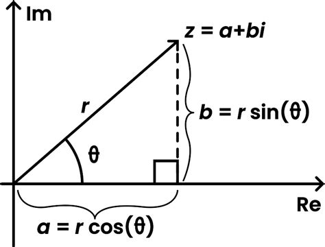 What Is Euler’s Formula for Complex Numbers? | House of Math