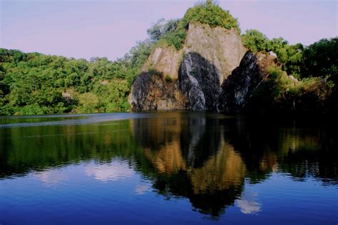 Bukit Timah Nature Reserve | Tickikids Singapore