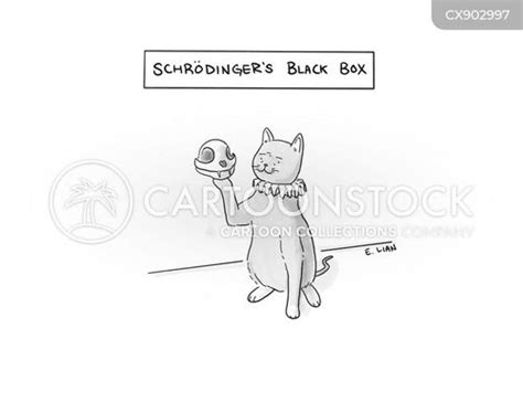 Schrodinger's Cat Cartoons