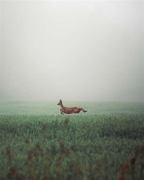 The challenges of shooting ‘boring’ nature | World Photography Organisation