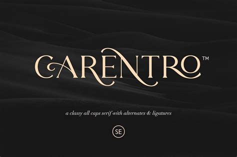 100+ Best Modern Serif Fonts 2021 | Design Shack