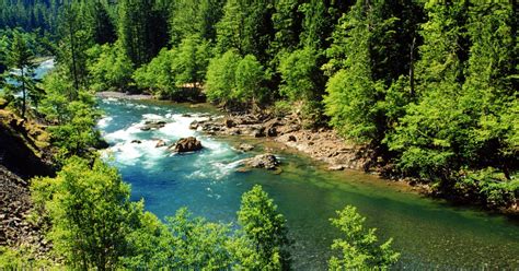 6 Ways to Enjoy the Clackamas River