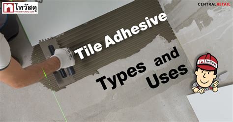 Tile Adhesive: Types and Uses - THAI WATSADU