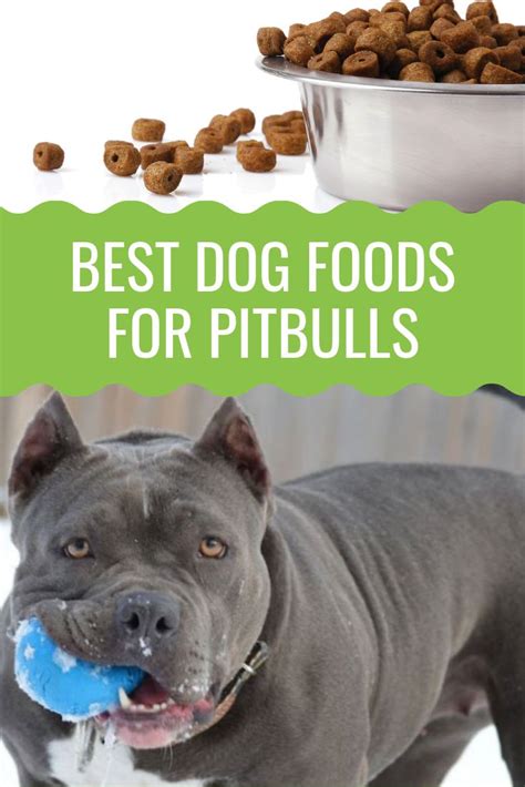 Best Food For Pitbulls - The Ultimate Guide To A Pitbull's Nutrition ...