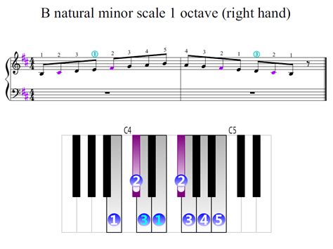 B natural minor scale 1 octave (right hand) | Piano Fingering Figures