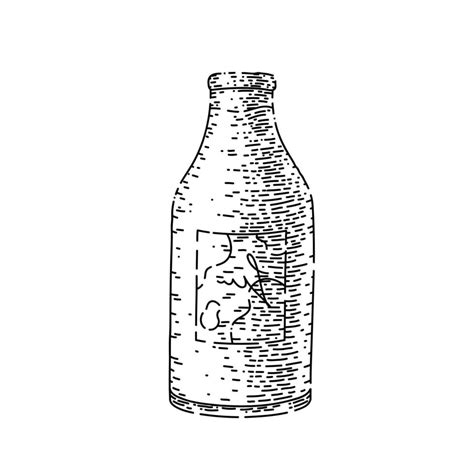 milk bottle sketch hand drawn vector 17589705 Vector Art at Vecteezy