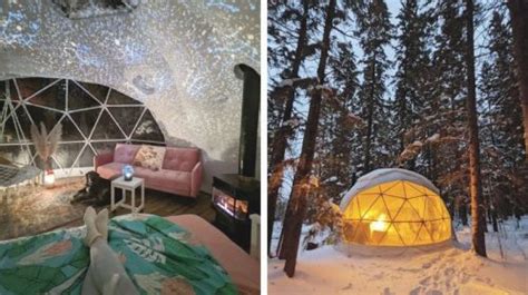 The Best Eco-Friendly Glamping Pods Worldwide