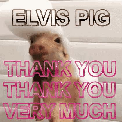 Thank You Gif Peppa Pig