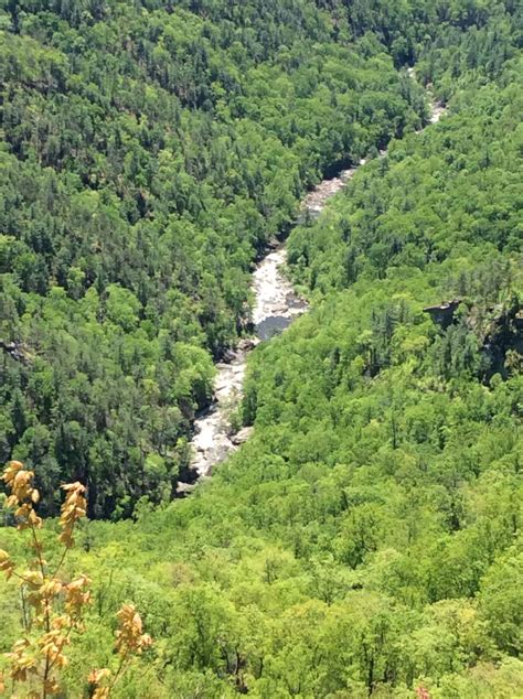 Linville River, Linville Gorge Wilderness Area. Photo credit: T. Kastl