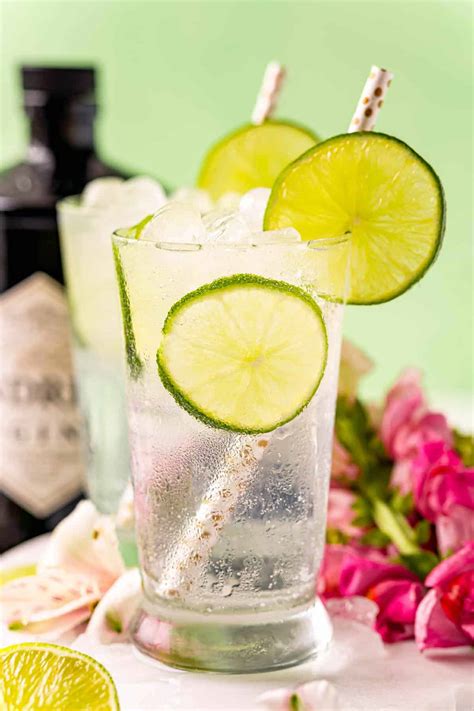 Classic Gin and Tonic Recipe - tips to make the best! - Rachel Cooks®