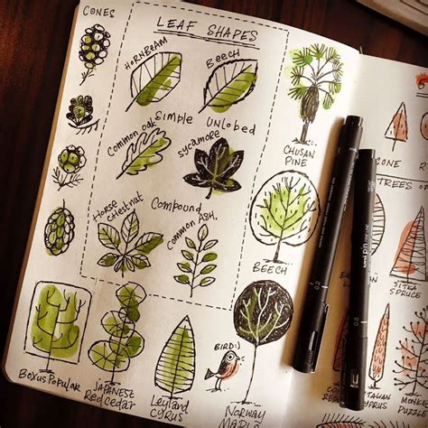 An ongoing collection of my sketchbook ramblings, updated over the year | How to draw ...