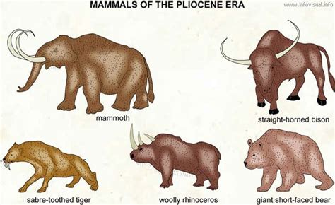 Pliocene - Alchetron, The Free Social Encyclopedia