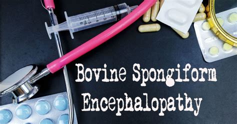 Bovine Spongiform Encephalopathy (BSE): Symptoms, Causes, Treatment