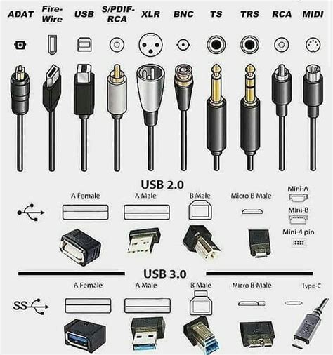 Different types of plugins : r/coolguides