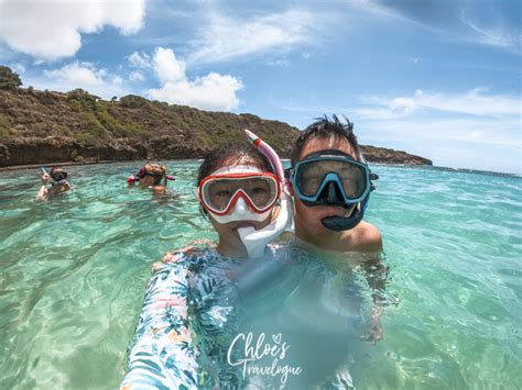 7 Best Beaches in Oahu for Snorkeling (popular & secluded)