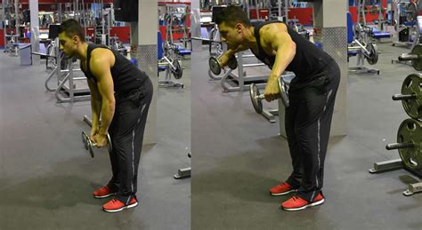 Bent Over Lateral Raise (Standing) Exercise - The Optimal You