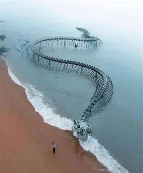 Giant Sea Serpent statue off coast of France! : r/lochnessmonster