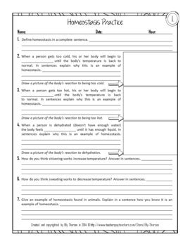 Homeostasis Practice Worksheet or Homework Assignment by Elly Thorsen