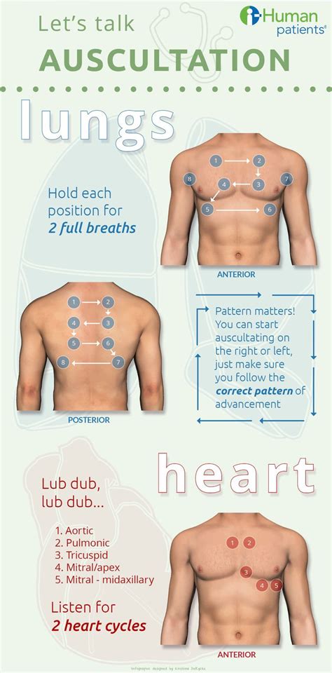 i-Human Patients | Auscultation of ... | Medical education, Nursing ...