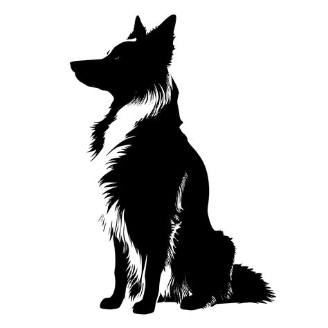 Border Collie SVG, PNG, DXF Files for Cricut, Silhouette, Laser