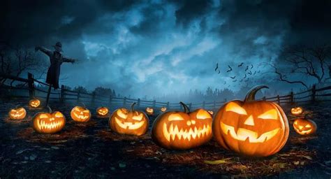 Halloween 2024 ngày mấy tháng mấy, còn mấy ngày nữa đến?