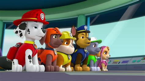 Paw Patrol: Pup Tales | S1:E17 | Épisode 17