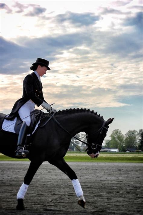 black dressage trotting | cheval noir | Dressage horses, Horses, Horse equestrian