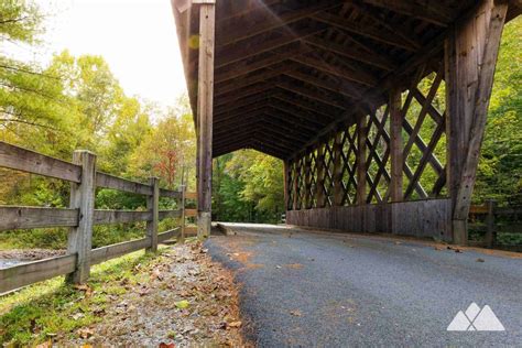 Smithgall Woods State Park: our favorite hiking trails