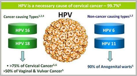 Cervical Cancer Cause and Prevention