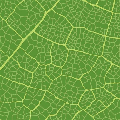 Green Leaf Texture Vector Download