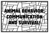 ANIMAL BEHAVIOR COMMUNICATION AND SURVIVAL High School Science  sketch template