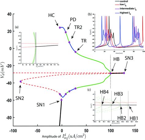 Bifurcation analysis with an amplitude of... | Download Scientific Diagram