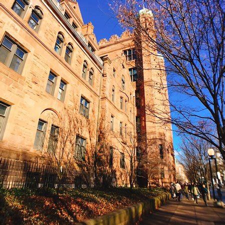 Yale University (New Haven) - 2019 All You Need to Know BEFORE You Go (with Photos) - TripAdvisor