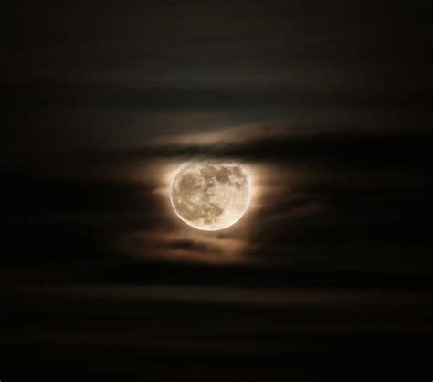 January 2023 Full Moon Spiritual Meaning (Wolf Moon)