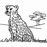 Leopard 1 Coloring Page  Free Printable Pages For Kids sketch template