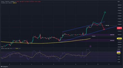 Bitcoin (BTC) Price Prediction: Is Bitcoin Rally Happening in 2023?