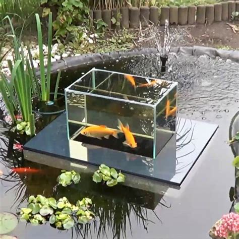 Goldfish swimming above the pond? Nothing koi about it. | Ponds backyard, Fish pond gardens ...