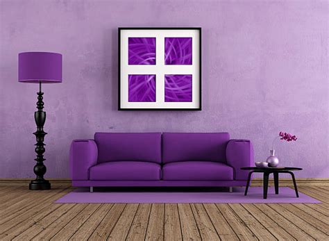 9,700+ Purple Sofa Stock Photos, Pictures & Royalty-Free Images - iStock