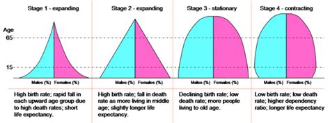 Fun with Population Pyramids. I was scouring the web looking for fact ...